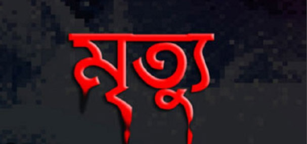 কালীগঞ্জে পঁচা আম বিক্রি নিয়ে সংঘর্ষে প্রাণ গেল বৃদ্ধের