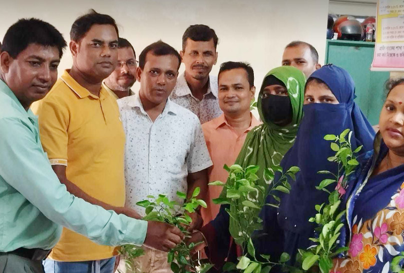 মোরেলগঞ্জে ১ হাজার নারী পেলেন গাছের চারা