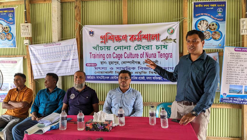 নদী-সমুদ্রে খাঁচায় মাছ চাষে নোবিপ্রবির উদ্যোগ