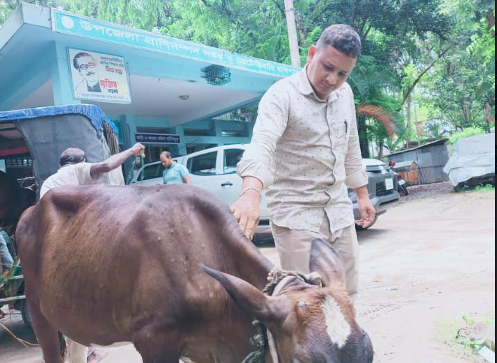 নাটোরে লাম্পি স্কিন ডিজিজ রোগের নিয়মিত সেবা দিচ্ছেন ডা: মেহেদী হাসান