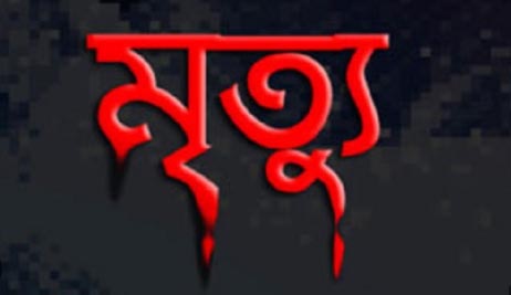 উল্লাপাড়ায় প্রতিপক্ষের হামলায় বৃদ্ধা নিহত