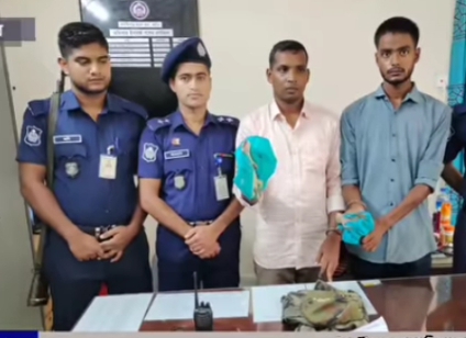বাগাতিপাড়ায় তক্ষকসহ চাকরীচ্যুত দুই সেনা সদস্য আটক 