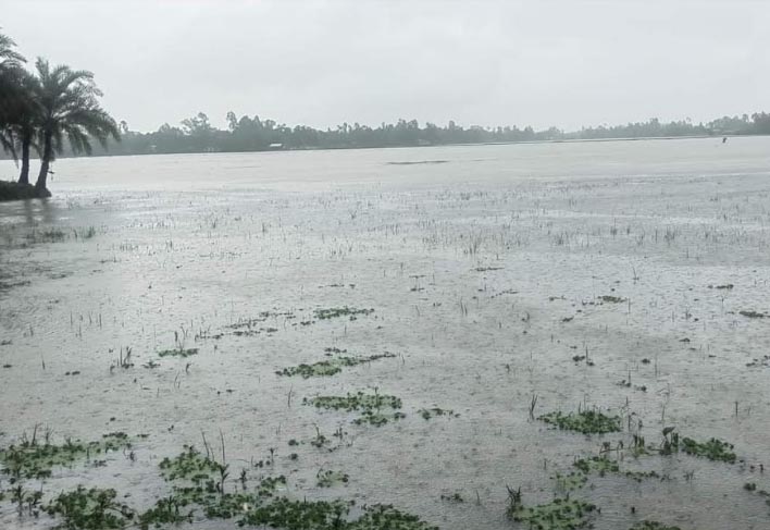 চকরিয়ায় ভারী বর্ষণে কৃষকরা আতংকে: পাহাড়ি বন্যার সম্ভাবনা 
