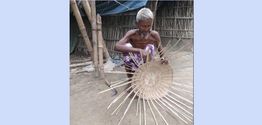 শিবগঞ্জে ডালি বুনে ৫০টাকা আয়ে সংসার চলে ৯০ বছরের তোবজুলের