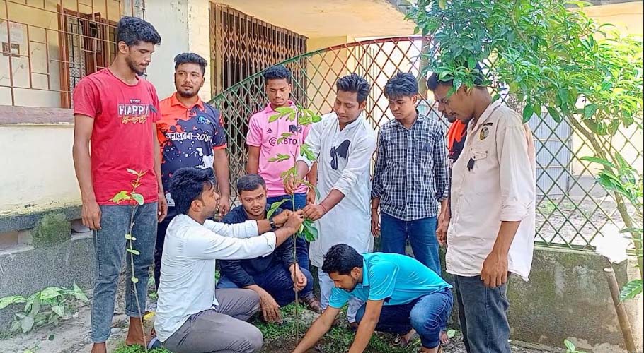 জাতীয় শোক দিবস উপলক্ষে কলেজে ছাত্রলীগের বৃক্ষরোপন ও দোয়া মাহফিল