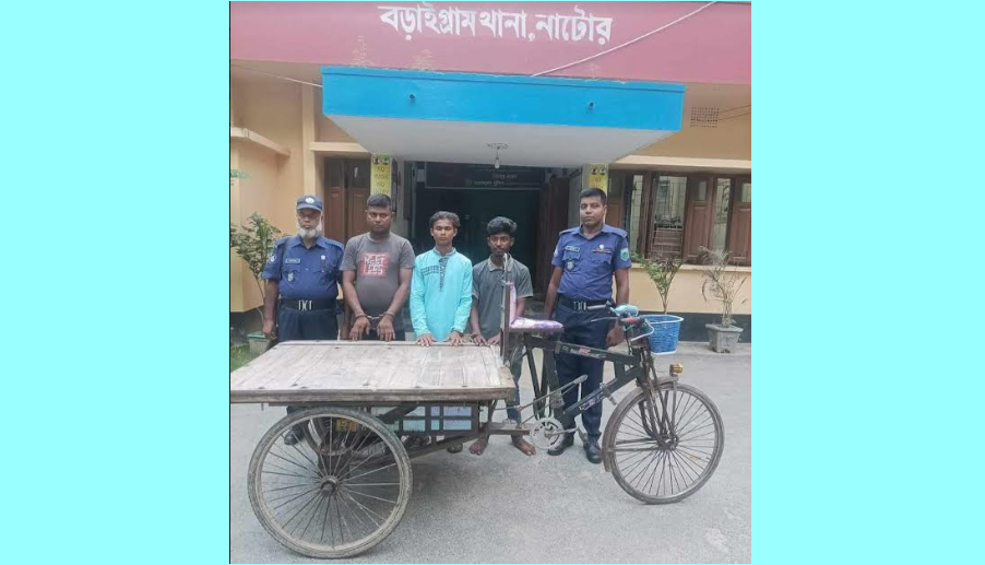 বড়াইগ্রামে অটোভ্যান ও চাকু সহ তিন ছিনতাইকারী আটক