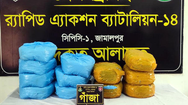 জামালপুর র‌্যাবের অভিযানে ২৩ কেজি গাঁজা উদ্ধার