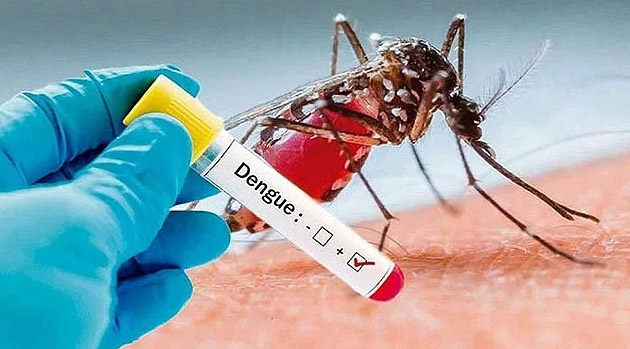 ডেঙ্গুতে আরো আটজনের মৃত্যু