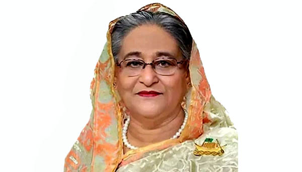 ব্রিকসের সদস্য পদ নিয়ে চেষ্টা করিনি
