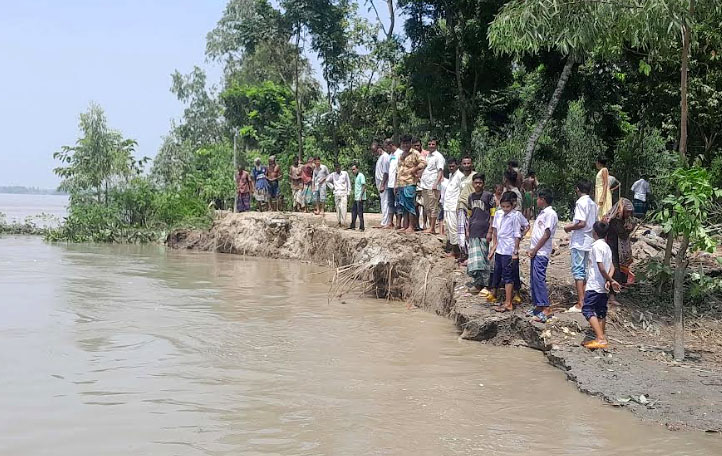 জামালপুরে বহু মানুষ পানিবন্দি