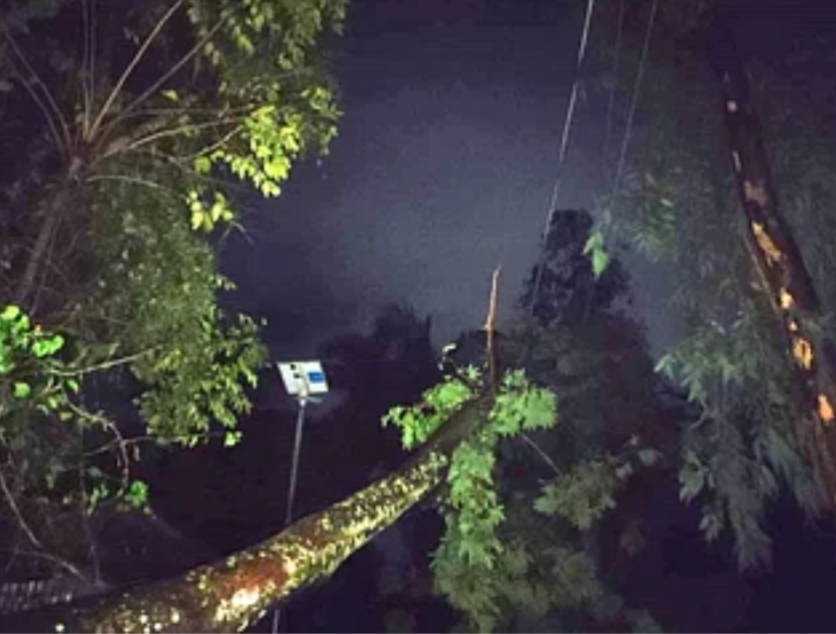 নামলো বিপদ সংকেত, 'হামুন' এখন গভির নিম্নচাপ