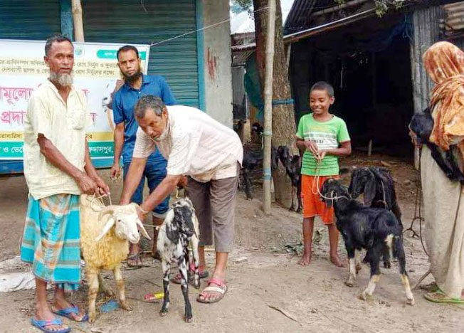 প্রাণী কূলের সাথে বাঁধা পড়েছে আলালের জীবন