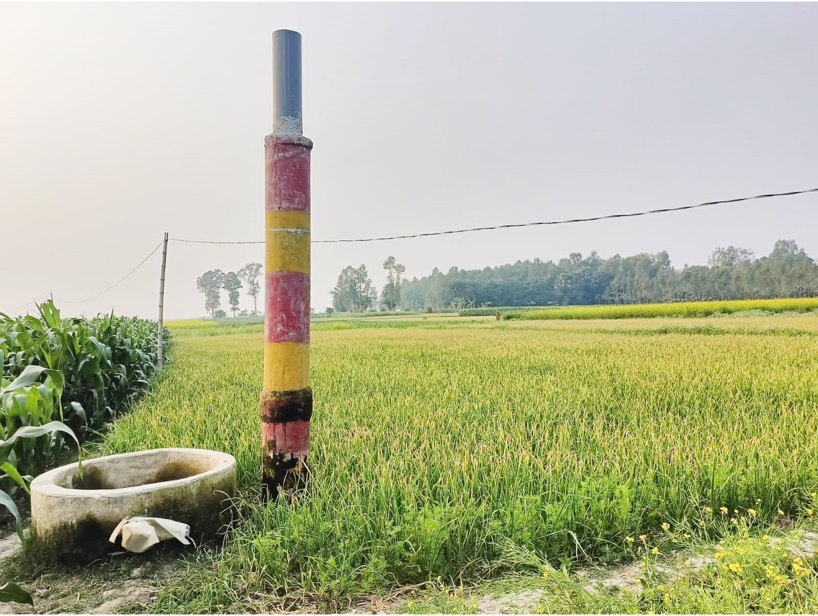 গুরুদাসপুরে নিয়ম মানেনি বরেন্দ্র! এলএলপি বোরিং করেছে বিএডিসি সেচ প্রকল্পের ভেতর