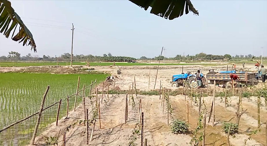 মুচলেকা আর জরিমানাতেই শেষ, বন্ধ হয়নি ফসলি জমিতে পুকুর খনন