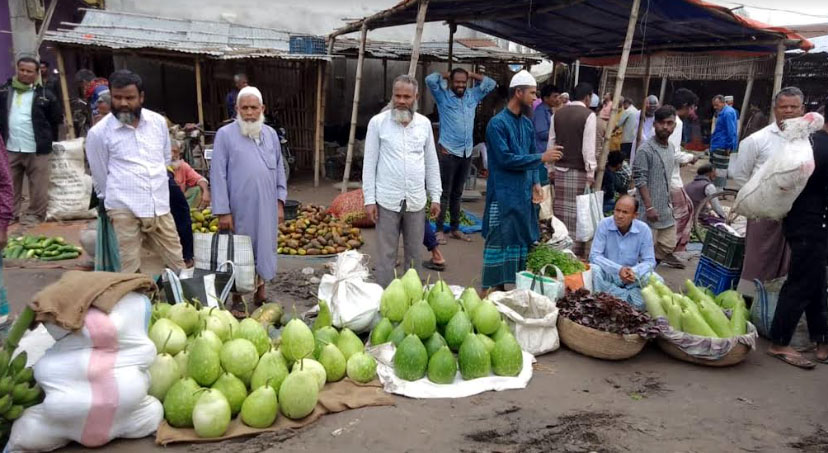 ফুলবাড়ীতে লাউয়ের না থাকায় বিপাকে চাষিরা