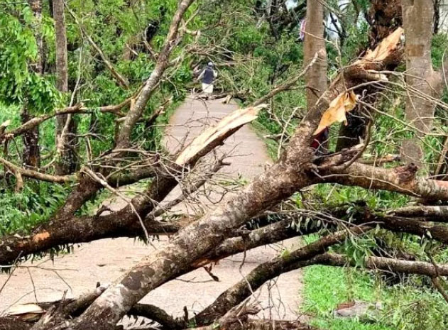 দুই মিনিটের ঝড়ে সব লণ্ডভণ্ড
