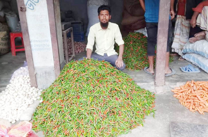 ফুলবাড়ীতে কাঁচা মরিচের কেজি ১৫ টাকা: লোকসানে মরিচ চাষিরা