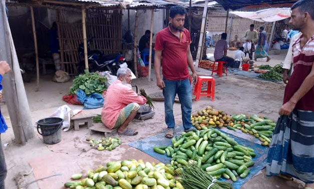 ফুলবাড়ীতে খিরা ও শসার দাম কমায় লোকসানে কৃষক