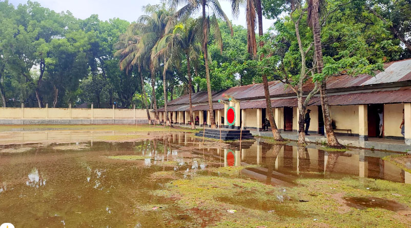 নাটোরের তিন উপজেলায় ভোট গ্রহণ চলছে, ভোটার উপস্থিতি কম 