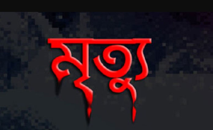 উল্লাপাড়ায় নির্বাচনী দায়িত্ব পালনকালে মহিলা আনসার সদস্যের মৃত্যু
