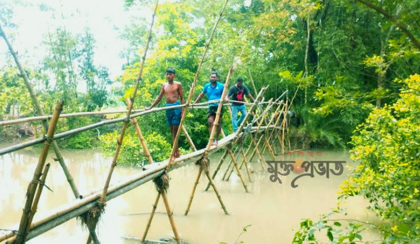 বাঁশের সাঁকোই গ্রামবাসীর একমাত্র ভরসা