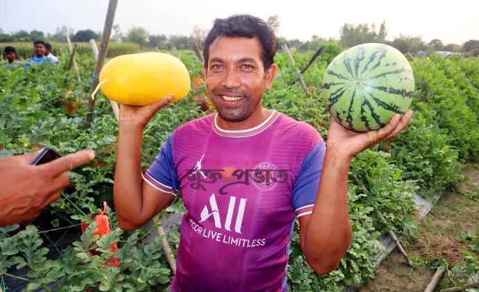  তরমুজ চাষে স্বালম্বী আব্দুল হামিদ