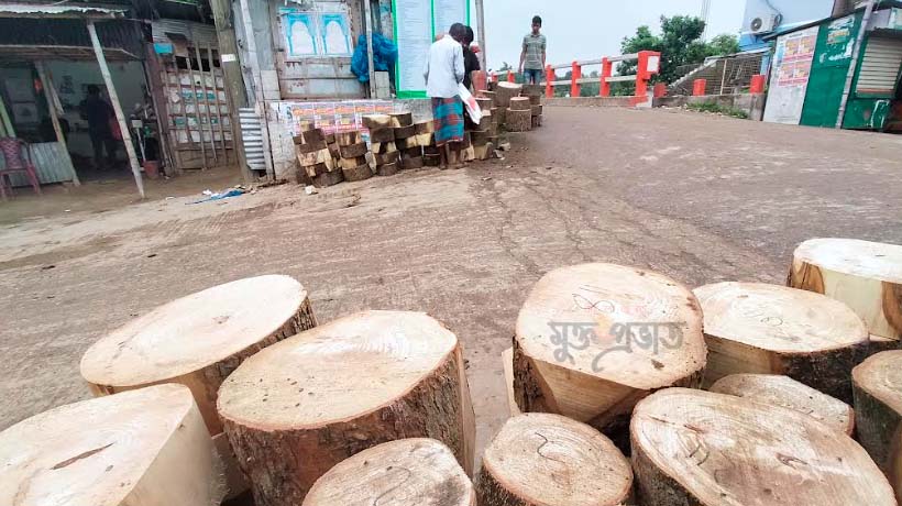 গুরুদাসপুরে ঈদ ঘিরে বেড়েছে কাঠের গুড়ির দাম