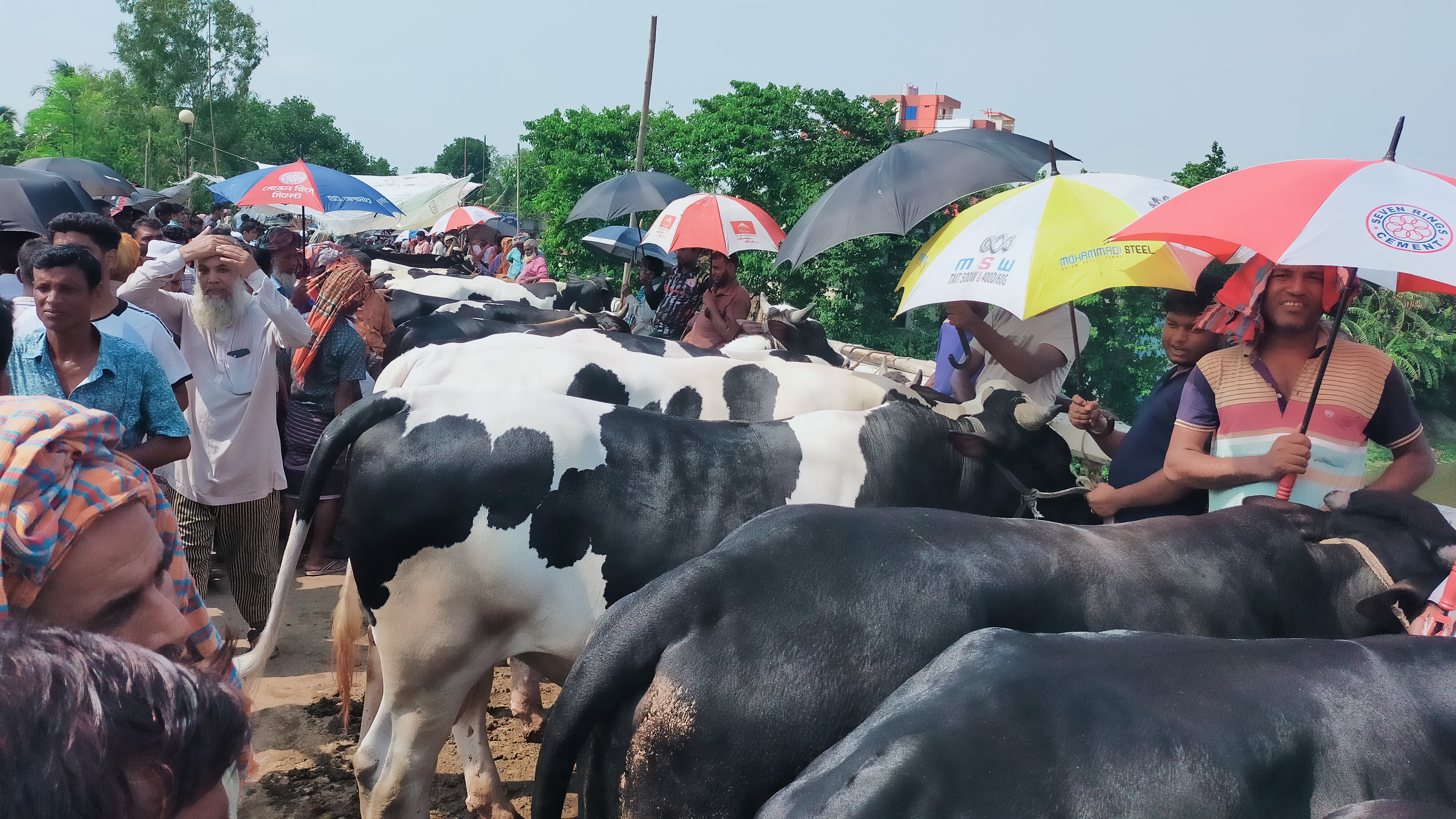 পশুর হাটে অতিরিক্ত খাজনা আদায়, ব্যবস্থা নিলেন না নির্বাহী কর্মকর্তা