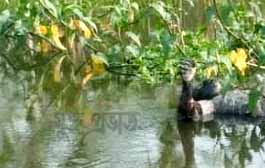 লালমনিরহাটে ব্রিজের নিচে অর্ধগলিত মরদেহ উদ্ধার
