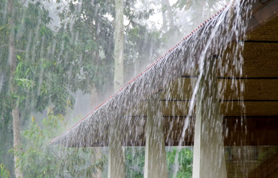 বঙ্গোপসাগরে লঘুচাপ, দেশজুড়ে বৃষ্টির আভাস