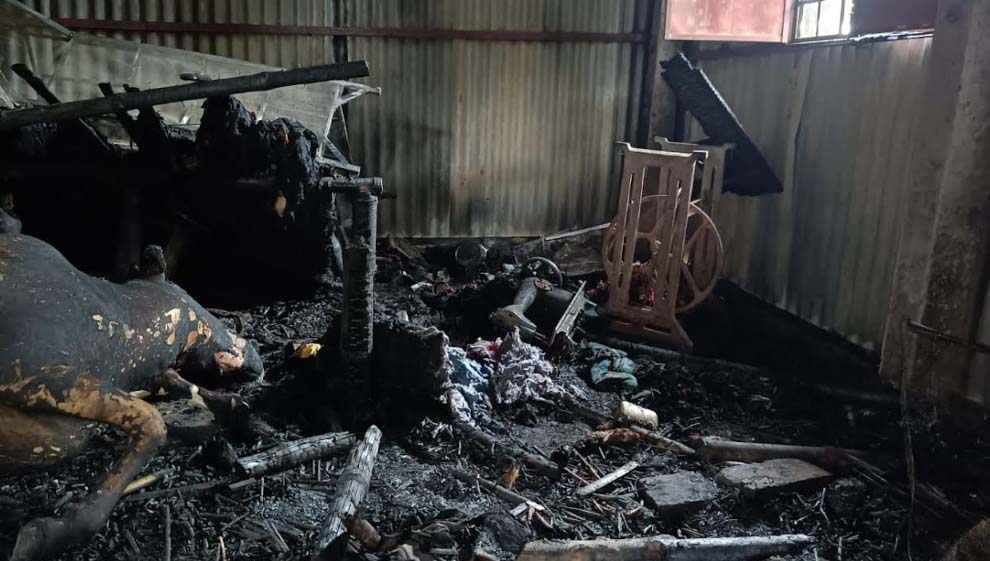 বদলগাছীতে  কয়েলের আগুনে পুড়ে ছাই গরুসহ ঘরবাড়ি