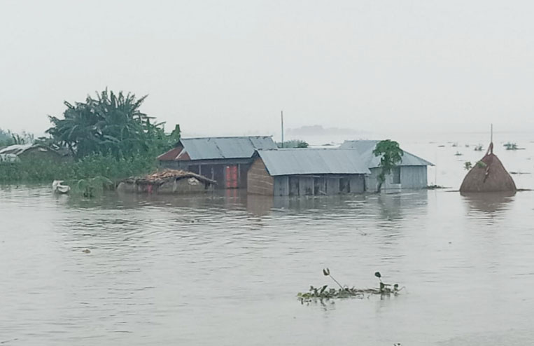 জামালপুর, কুড়িগ্রাম, বগুড়া ও সিরাজগঞ্জে বন্যা, পানিবন্দি বহু মানুষ