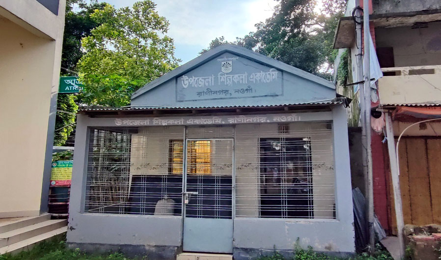 শিল্পকলার বিশেষ বরাদ্দের টাকা নিয়ে গেলেন ইউএনও