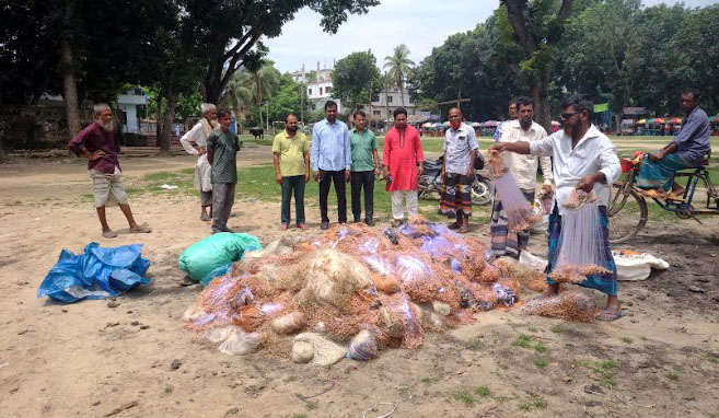 সিংড়ায় দেড় লাখ মিটার কারেন্ট জাল পুড়িয়ে দিল মৎস্য বিভাগ
