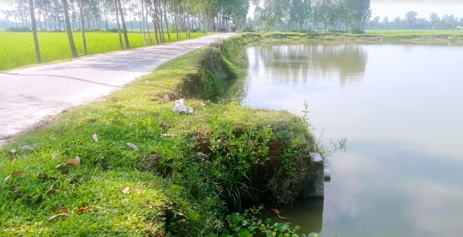 পুকুরে বিলীন হচ্ছে চলাচলের সড়কটি