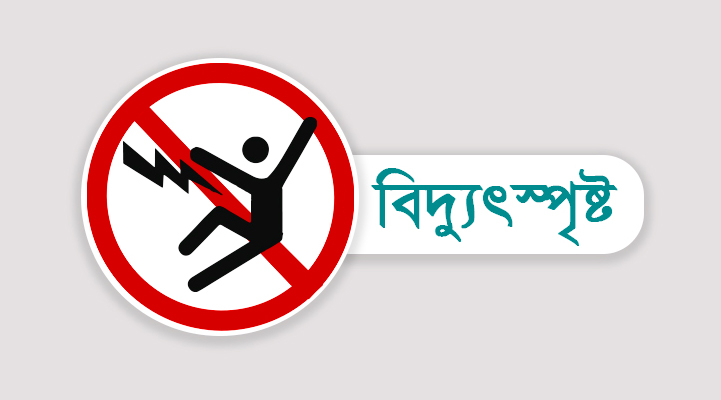  গাছের ডাল কাটার সময় বিদ্যুৎতায়িত হয়ে একজনের মৃত্যু