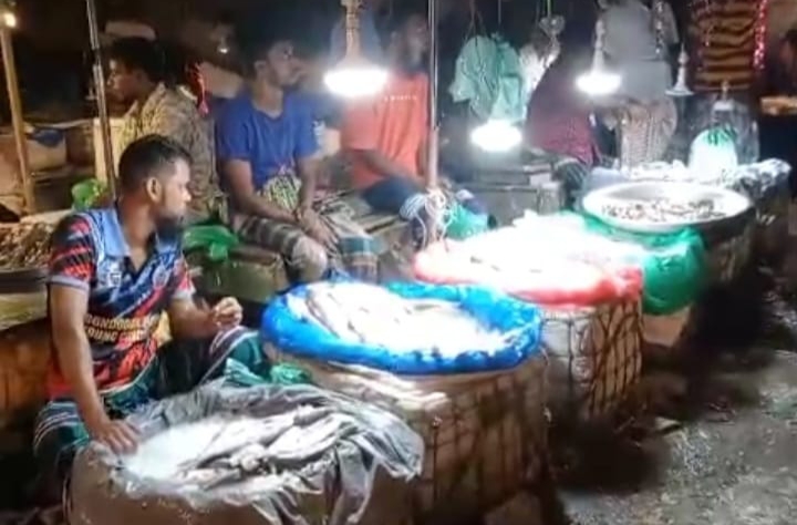 হাজীগঞ্জে নিষেধাজ্ঞা অমান্য করে বিক্রির সময় ১৯৫ কেজি ইলিশ জব্দ