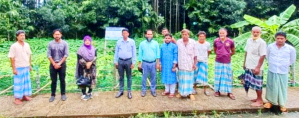 কক্সবাজারের ১২ হাজার কৃষককে প্রণোদনা দিচ্ছে সরকার