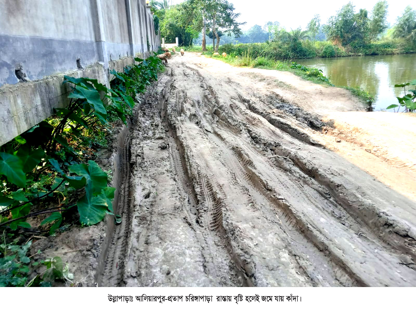 ভোগান্তির আরেক নাম আলিয়ারপুর-প্রতাপ চরিঙ্গাপাড়া সড়ক