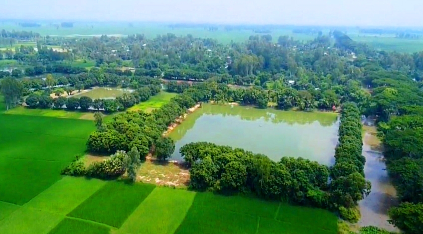 ধার-দেনার টাকায় নির্বাচন করা পলকের অঢেল সম্পদ