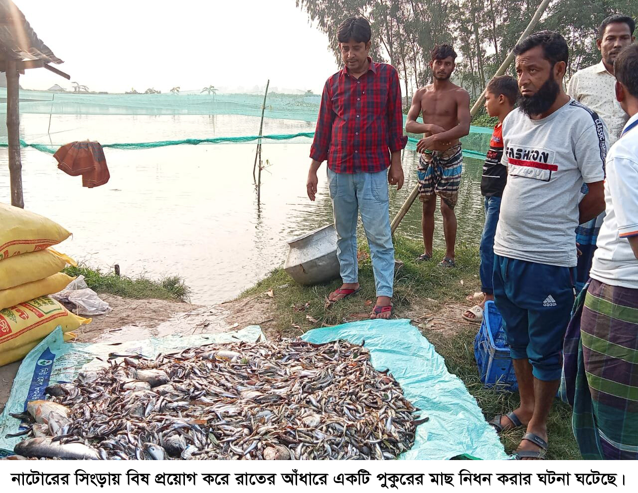 সিংড়ায় বিষ প্রয়োগে মাছ নিধনের অভিযোগ