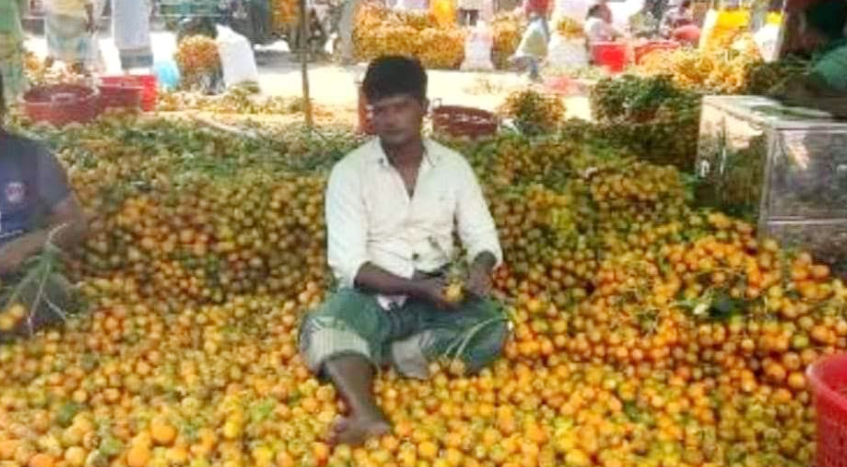 উখিয়ার সুপারির কদর দেশজুড়ে