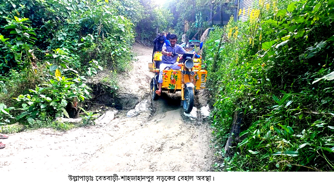 উল্লাপাড়ায় সড়কে চরম ভোগান্তি বিঘ্ন হচ্ছে চলাচল ব্যবস্থা
