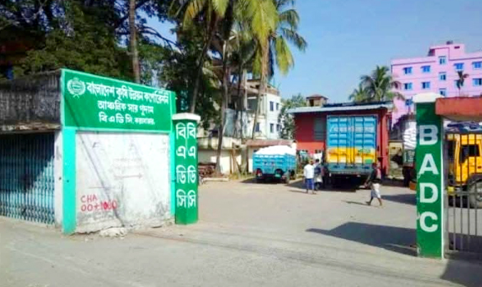 সারের কৃত্রিম সংকটে দিশেহারা কৃষক!