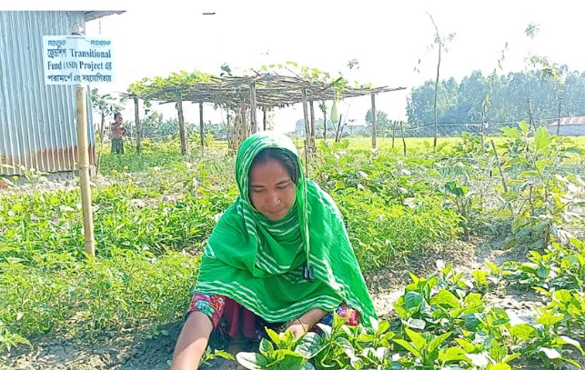 ফ্রেন্ডশীপের সহযোগিতায় সুখের স্বপ্ন বুনছেন চিলমারীর চরাঞ্চলের নারীরা