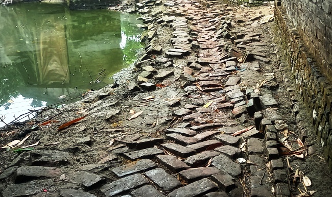 আশাশুনির একটি বেহাল সড়কে চলাচল করা দায়