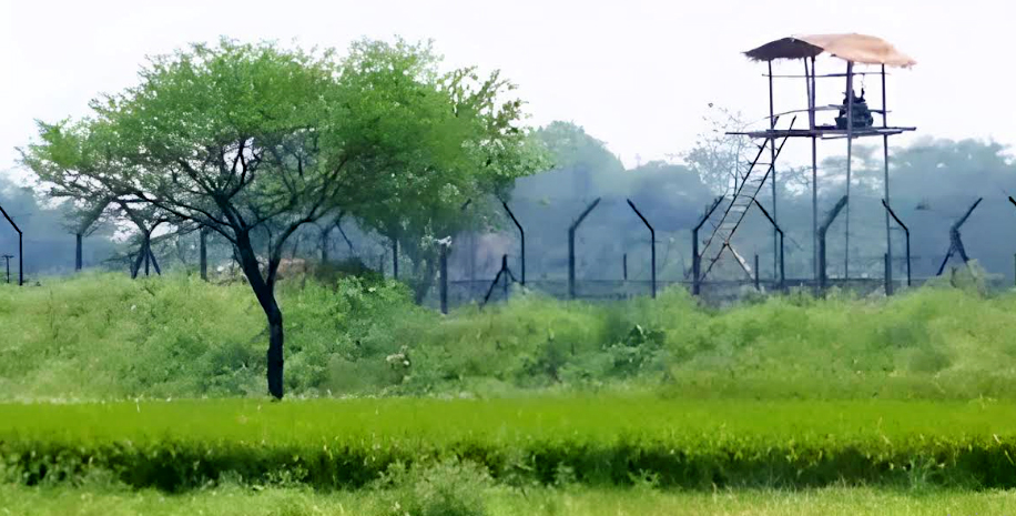 রোববার রাতে রাজশাহী সীমান্তে বিএসএফের দফায় দফায় গুলি, আতঙ্ক