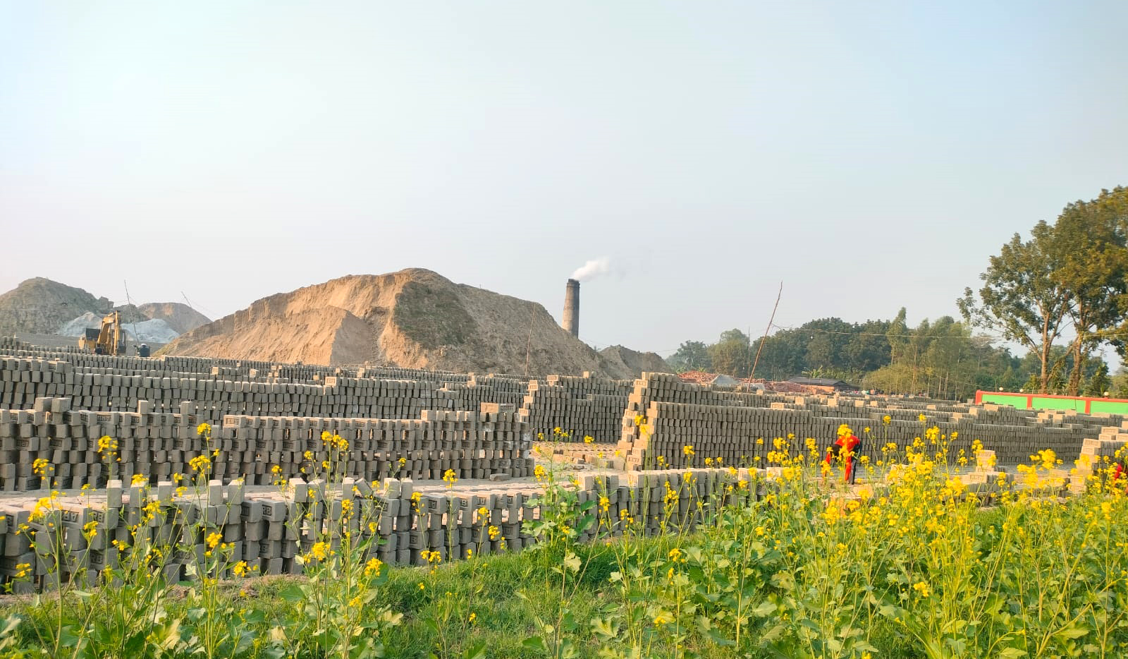 প্রশাসনের নাকের ডগায় অবৈধ ১১ ইটভাটা