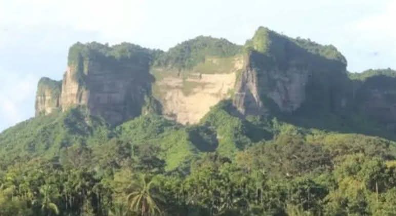ফাঁকা গুলি ছুঁড়ে রাজমিস্ত্রীকে অপহরণ