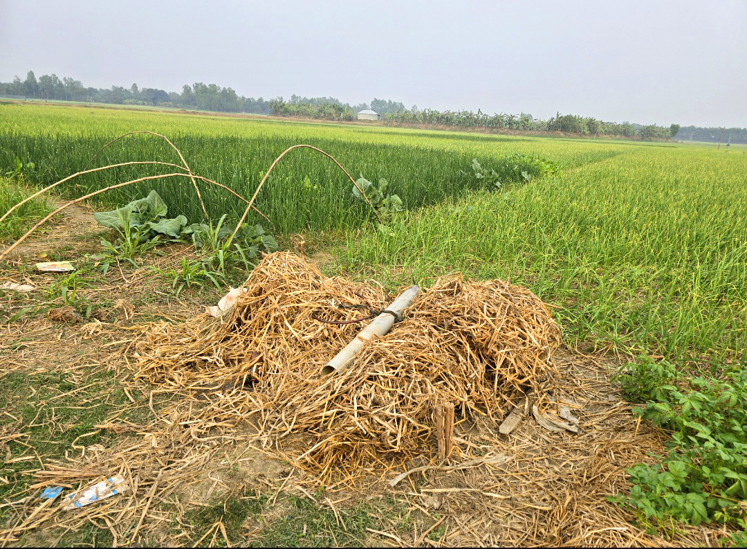 দুই রাতে দরিদ্র কৃষকের ১৮ শ্যালো মেশিন চুরি, ২ শ বিঘার সেচ নিয়ে দুশ্চিন্তা
